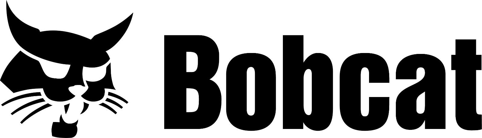 Bobcat