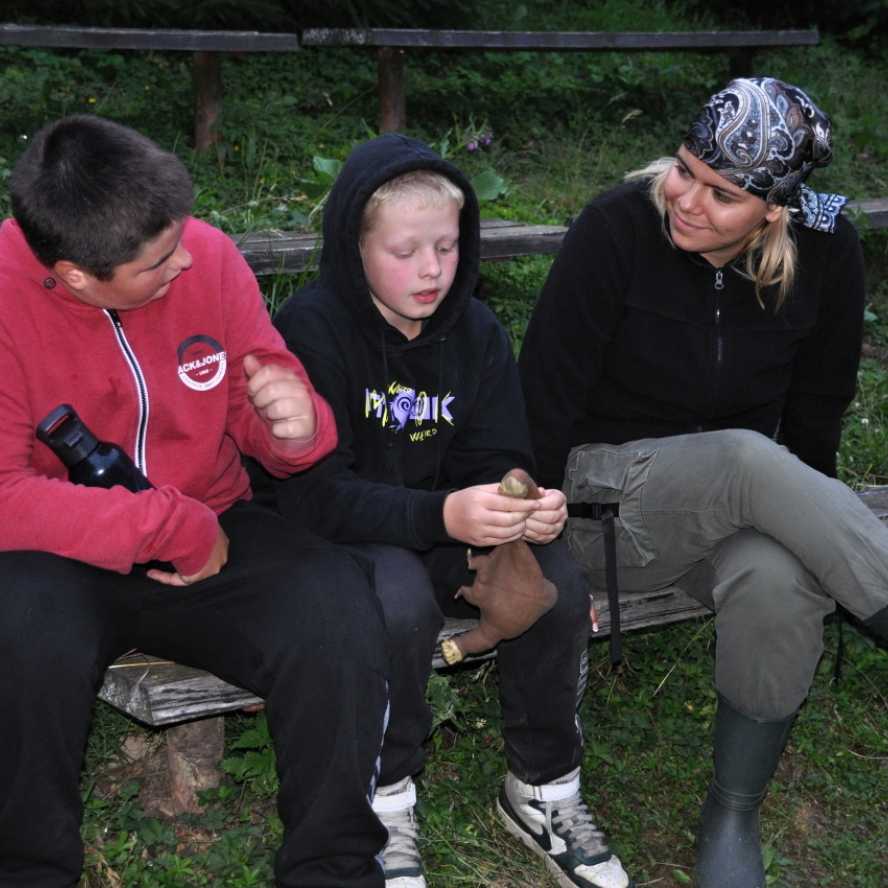 Zprávy z Dvojky