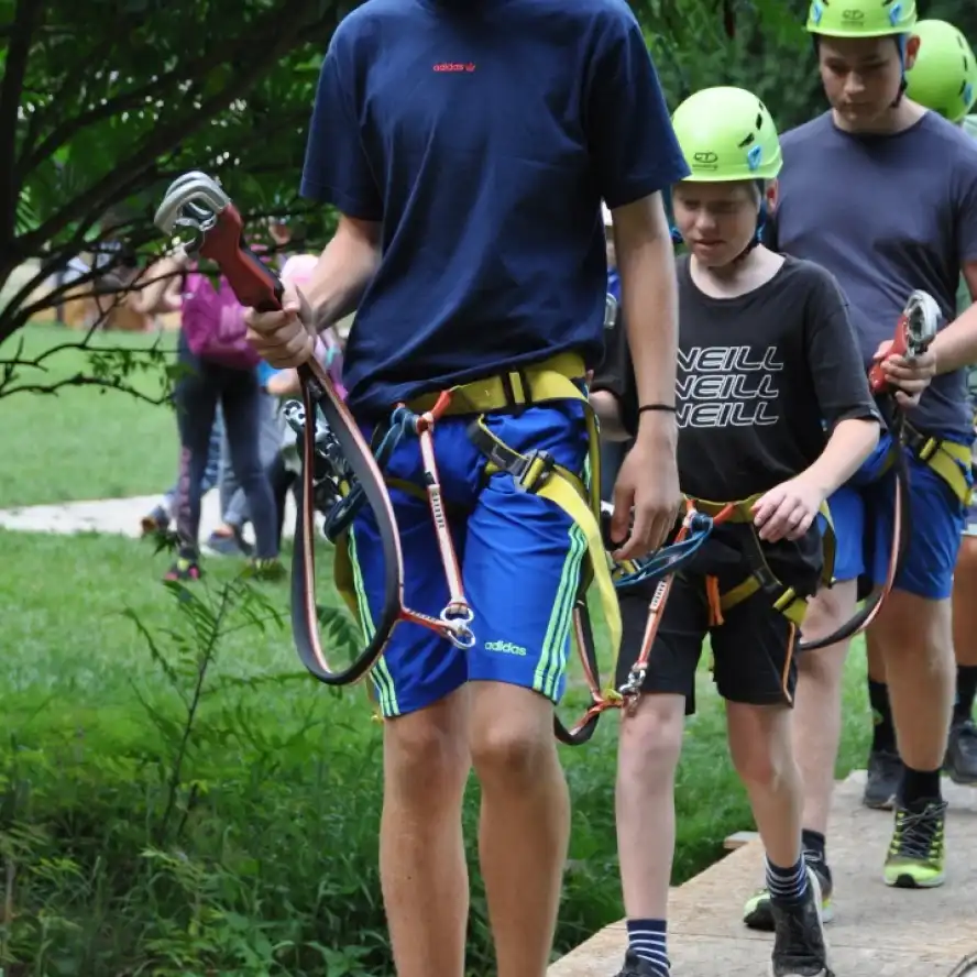 Pozdravy z mechu a kapradí