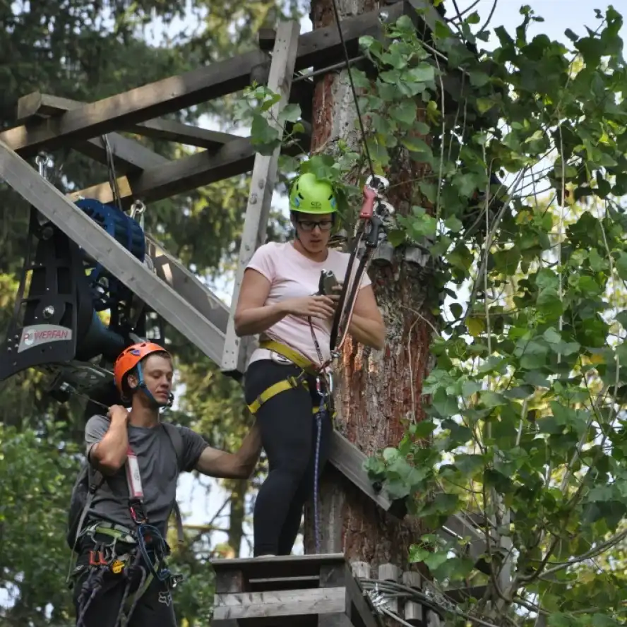 Přežití, pátek 13. a pohádkový les